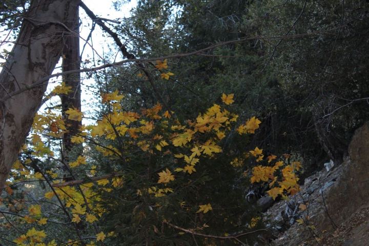 26762757IMG_1540.JPG