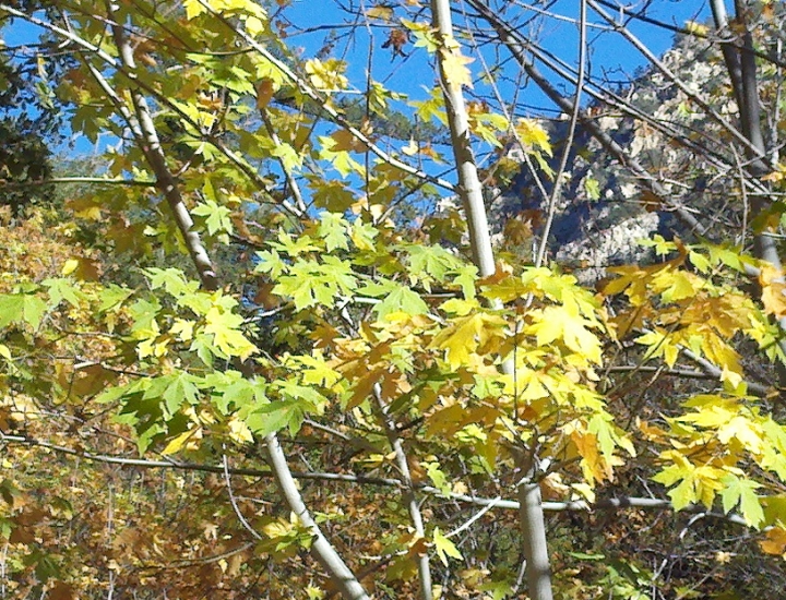 800203862012-10-28_16-07-20_322.jpg