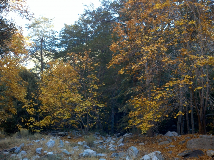 833318982012-10-28_16-02-56_361.jpg