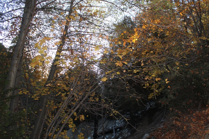 88557748IMG_1536.JPG